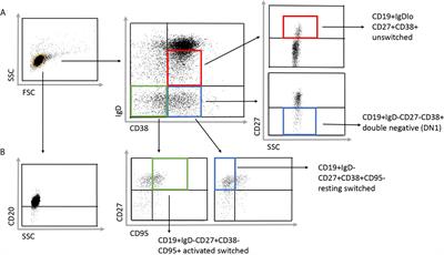 Increased Frequency of Activated Switched Memory B Cells and Its Association With the Presence of Pulmonary Fibrosis in Diffuse Cutaneous Systemic Sclerosis Patients